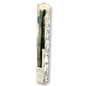 Biała Wieczna Róża na Łodydze 50 cm