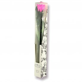 Różowa Wieczna Róża na Łodydze 50 cm