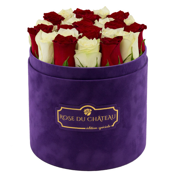Edition Spéciale Fioletowy Flokowany Box z Białymi & Czerwonymi Różami Żywymi
