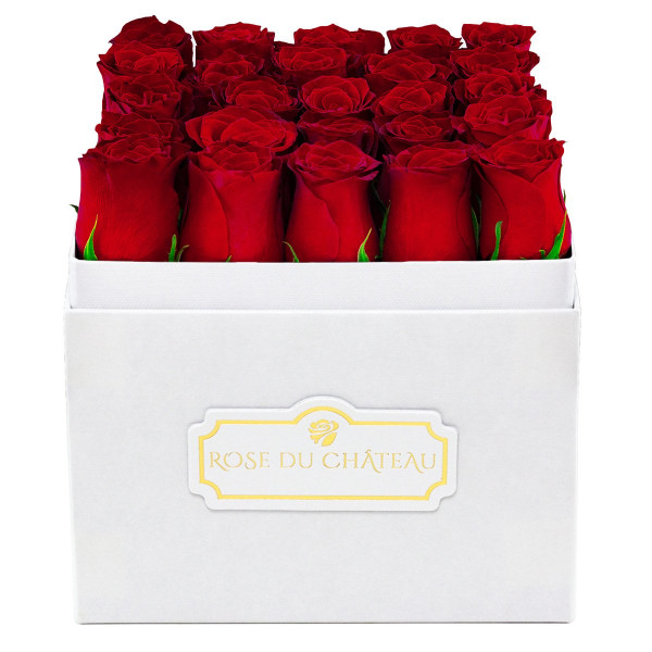 Czerwone Róże Żywe w Białym Kwadratowym Boxie