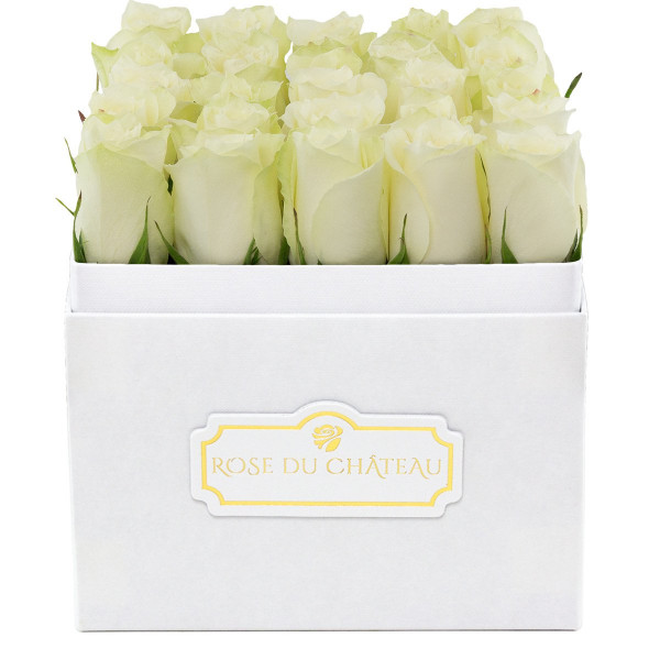 Białe Róże Żywe w Białym Kwadratowym Boxie