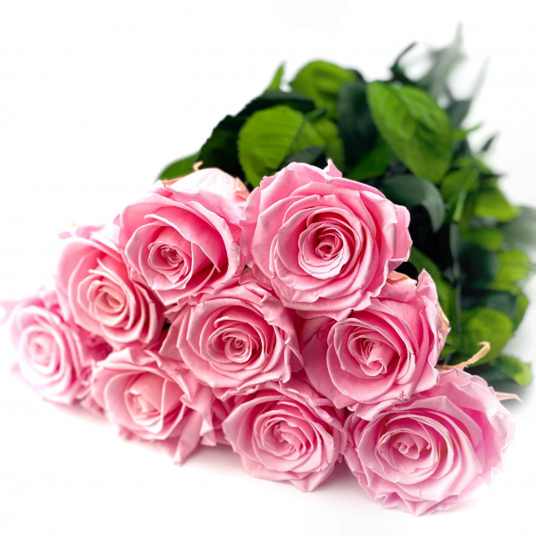 9 Bladoróżowych Wiecznych Róż na Łodydze 50 cm
