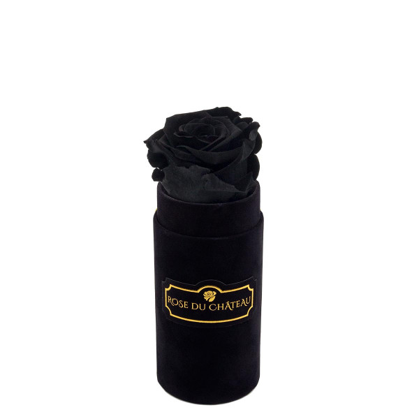 Czarna Wieczna Róża w Czarnym Mini Flokowanym Boxie
