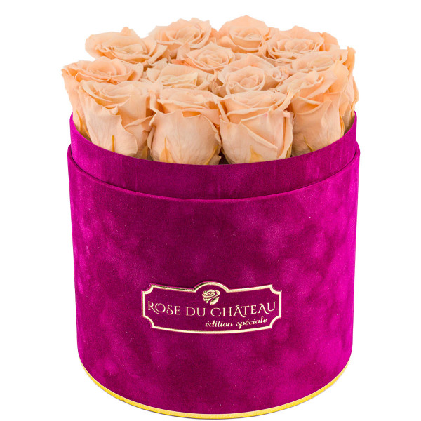 Herbaciane Wieczne Róże w Fuksjowym Flokowanym Flowerboxie
