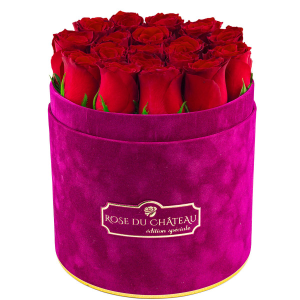 Édition Spéciale Fuksjowy Flokowany Box z Czerwonymi Różami Żywymi