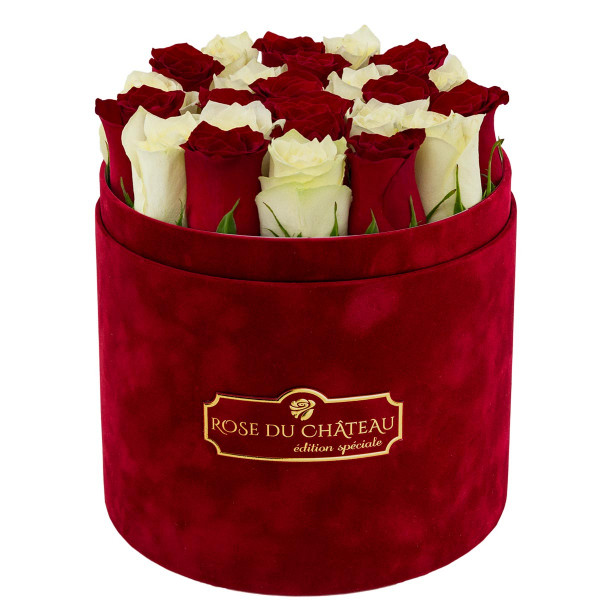 Édition Spéciale Bordowy Flokowany Box z Białymi & Czerwonymi Różami Żywymi