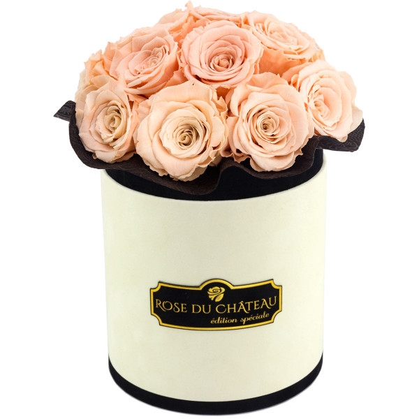 Herbaciane Wieczne Róże Bouquet w Coco Flokowanym Boxie