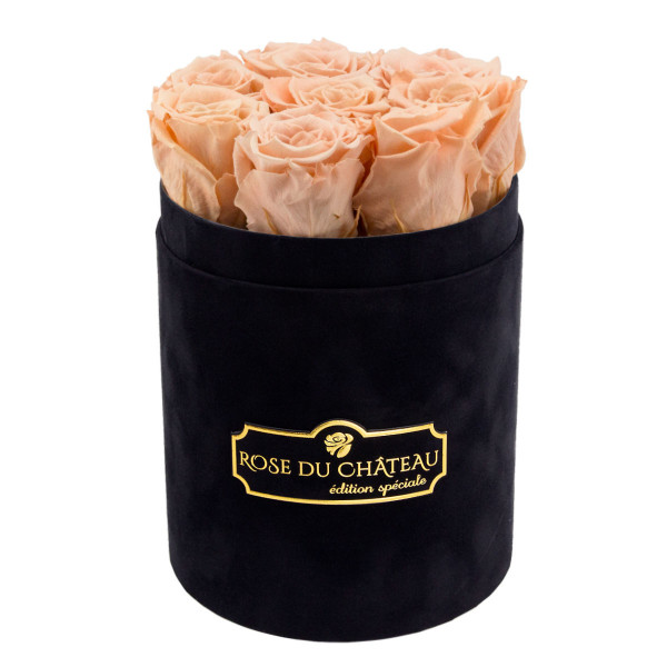 Herbaciane Wieczne Róże w Czarnym Małym Flokowanym Boxie