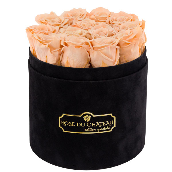 Herbaciane Wieczne Róże w Czarnym Flokowanym Boxie