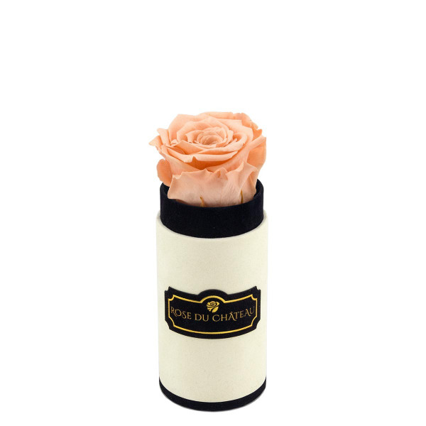 Herbaciana Wieczna Róża w Coco Mini Flokowanym Boxie