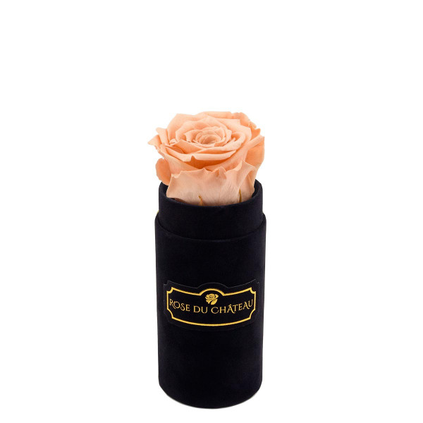 Herbaciana Wieczna Róża w Czarnym Mini Flokowanym Boxie
