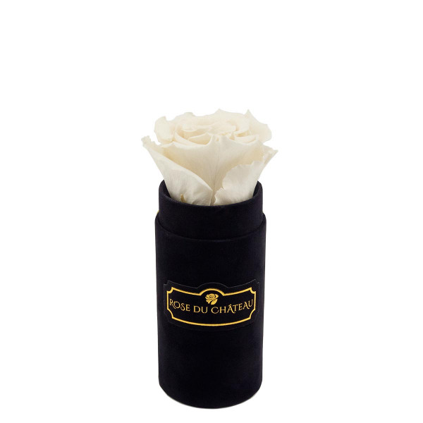 Biała Wieczna Róża w Czarnym Mini Flokowanym Boxie