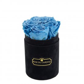 Błękitne Wieczne Róże w Czarnym Flokowanym Baby Boxie