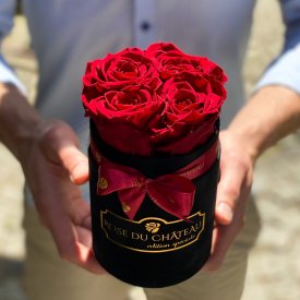 Czerwone Wieczne Róże w Czarnym Flokowanym Baby Boxie