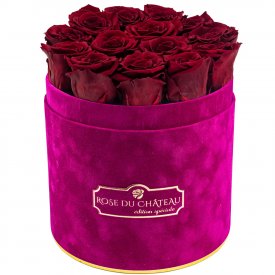 Czerwone Wieczne Róże w Fuksjowym Flokowanym Flowerboxie