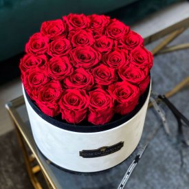 Czerwone Wieczne Róże w Coco Dużym Flokowanym Boxie