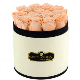 Herbaciane Wieczne Róże w Coco Flokowanym Boxie
