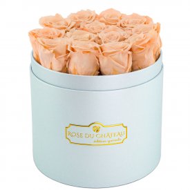 Herbaciane Wieczne Róże w Błękitnym Boxie