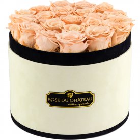 Herbaciane Wieczne Róże w Coco Dużym Flokowanym Boxie