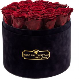 Czerwone Wieczne Róże w Czarnym Dużym Flokowanym Boxie