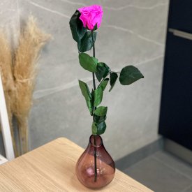 Różowa Wieczna Róża na Łodydze 50 cm