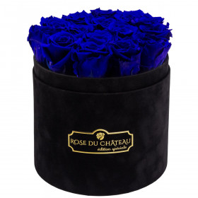 Niebieskie Wieczne Róże w Czarnym Flokowanym Boxie