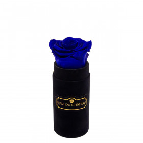Niebieska Wieczna Róża w Czarnym Mini Flokowanym Boxie