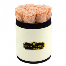 Herbaciane Wieczne Róże w Coco Małym Flokowanym Boxie