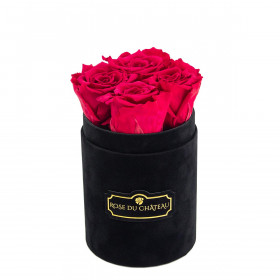 Różowe Wieczne Róże w Czarnym Flokowanym Baby Boxie