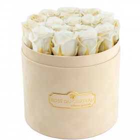 Białe Wieczne Róże w Beżowym Flokowanym Boxie