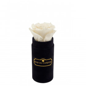 Biała Wieczna Róża w Czarnym Mini Flokowanym Boxie