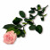 Bladoróżowa Wieczna Róża na Łodydze 50 cm