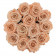 Herbaciane Wieczne Róże w Antracytowym Flokowanym Boxie