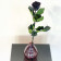 Czarna Wieczna Róża na Łodydze 50 cm