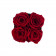 Czerwone Wieczne Róże w Czarnym Flokowanym Baby Boxie