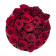 Miś & Coco Flokowany Box z Czerwonymi Różami Żywymi