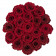 Czerwone Wieczne Róże w Różowym Flokowanym Dużym Boxie