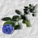 Lawendowa Wieczna Róża na Łodydze 50 cm