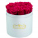 Różowe Wieczne Róże w Błękitnym Boxie