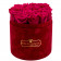 Różowe Wieczne Róże w Bordowym Flokowanym Boxie
