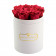 Różowe Wieczne Róże w Białym Małym Boxie