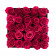 Różowe Róże Żywe w Czarnym Kwadratowym Boxie