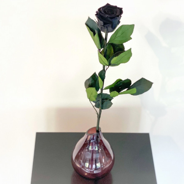 Rose eterna rossa - 50 cm