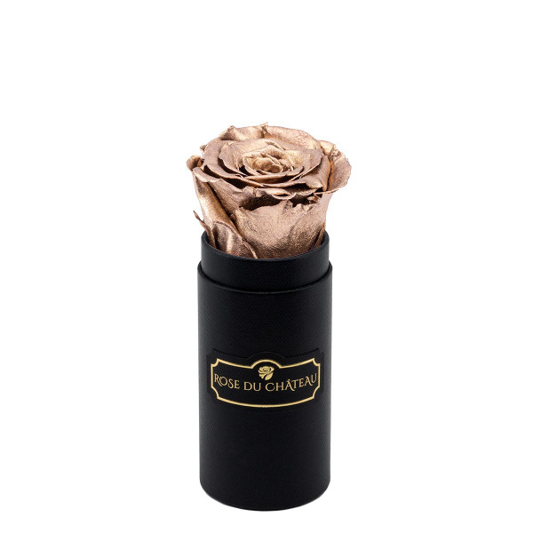 Rosa eterna oro in flowerbox nero mini