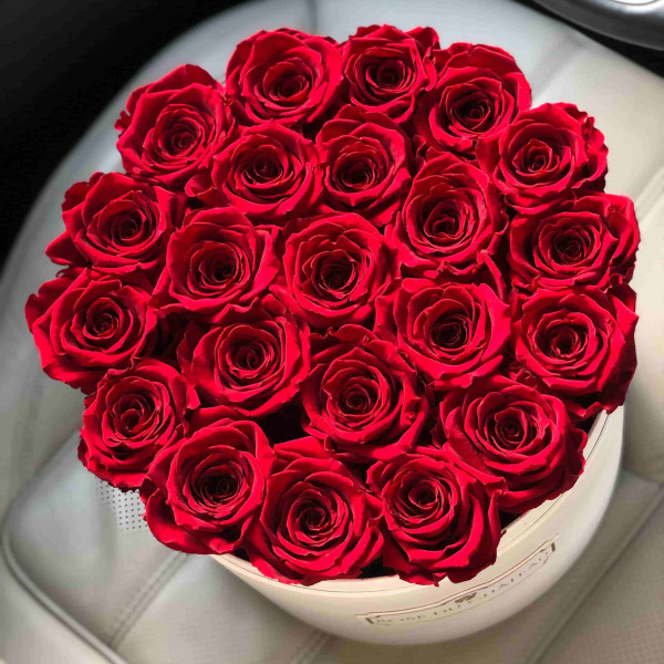 Rose eterne rosse in flowerbox bianco grande
