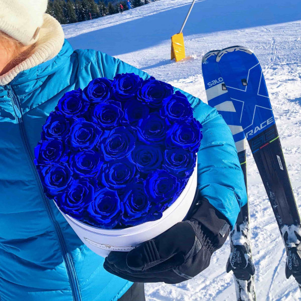 Rose eterne blu in flowerbox bianco grande
