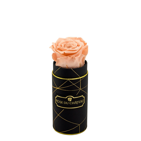 Rosa eterna crema in flowerbox industriale nero mini