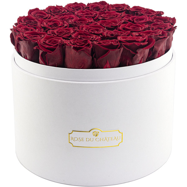 Rose eterne rosse in flowerbox bianco mega