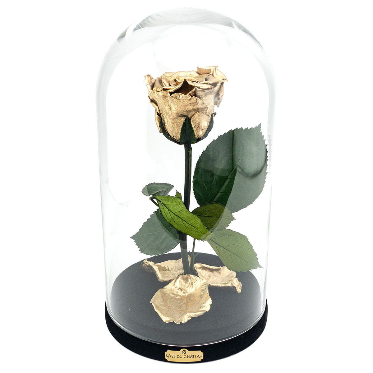 Rosa eterna oro la bella e la bestia | Negozio di fiori online Rose du  Château
