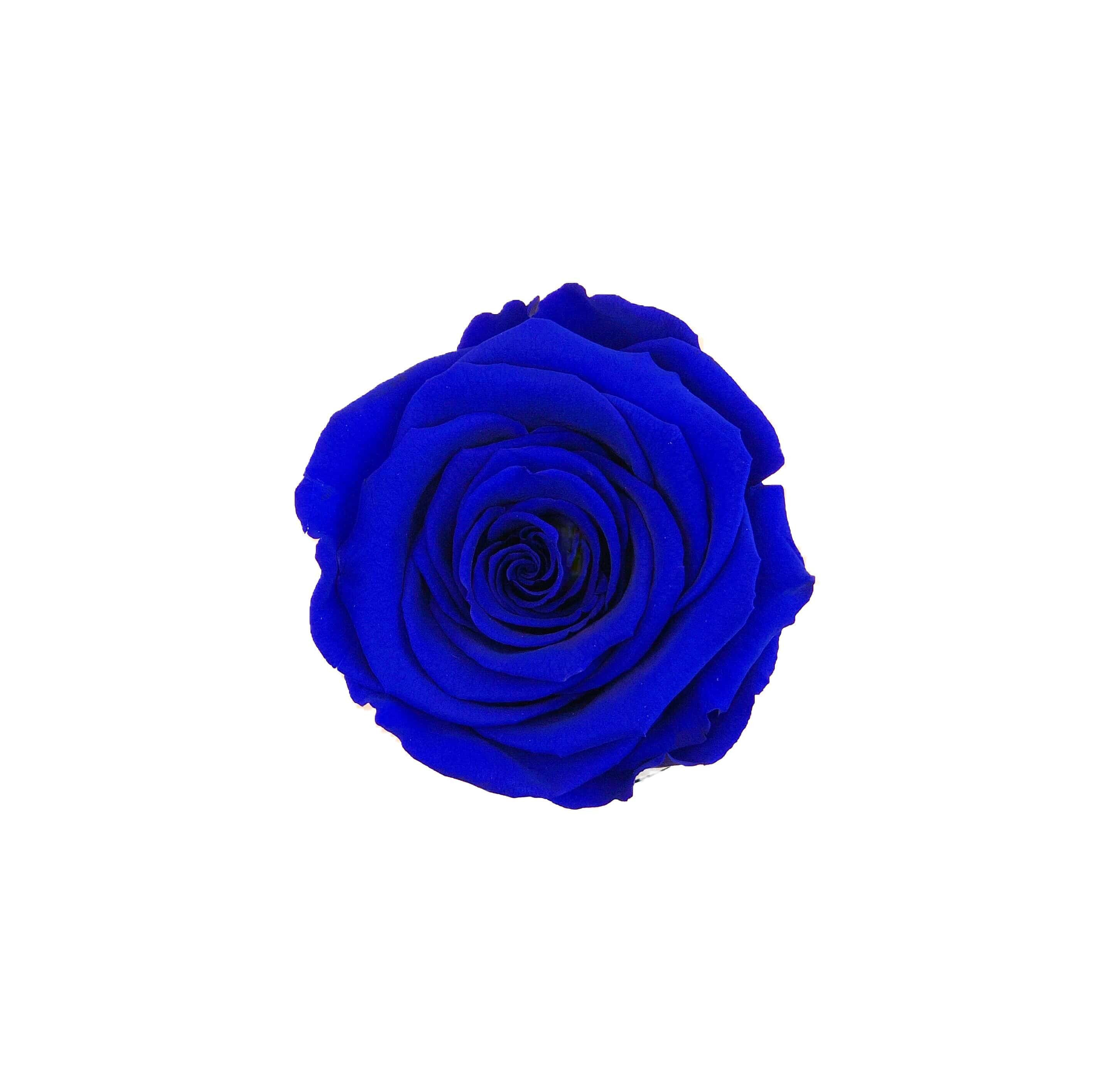 Rosa eterna blu in flowerbox nero mini  Negozio di fiori online Rose du  Château